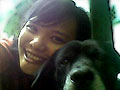 Artritis Pada Anjing 