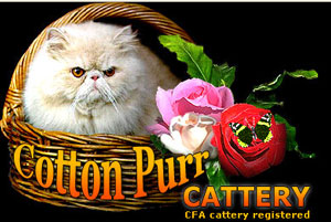 CottonPurr.Com