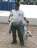 Liputan Pameran Anjing Kintamani 2005