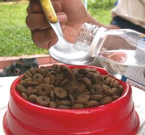 Minyak Kelapa Murni Untuk Anjing