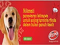 Promo Potongan Harga ALPO