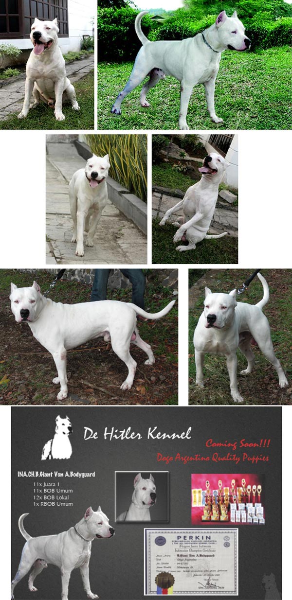 De Hitler Kennel