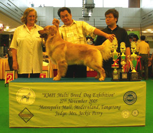Liputan KMPI Multi Breed Dog Exhibition
