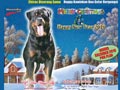 Dogfans News Edisi 102/Desember 2009