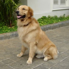 Benito Von Xavier's Palace