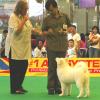 Trik Dan Tips Dalam Pameran
