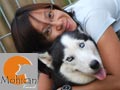 Mohican Siberian Husky Kennel