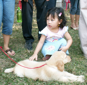 Komunikasi Antara Anjing Dan Manusia