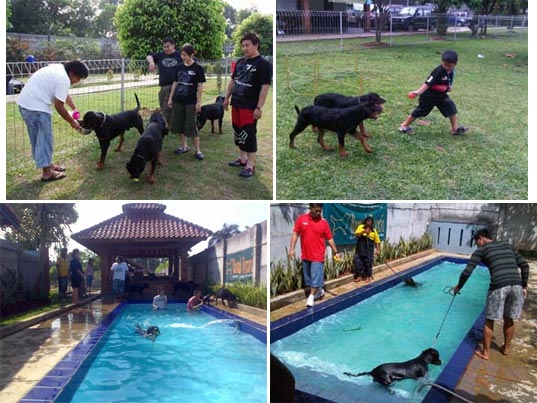 RottLovers Gathering @ Rumah Terraria