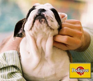 Pemeriksaan Kesehatan 5 Poin