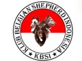 Klub Belgian Shepherd Indonesia