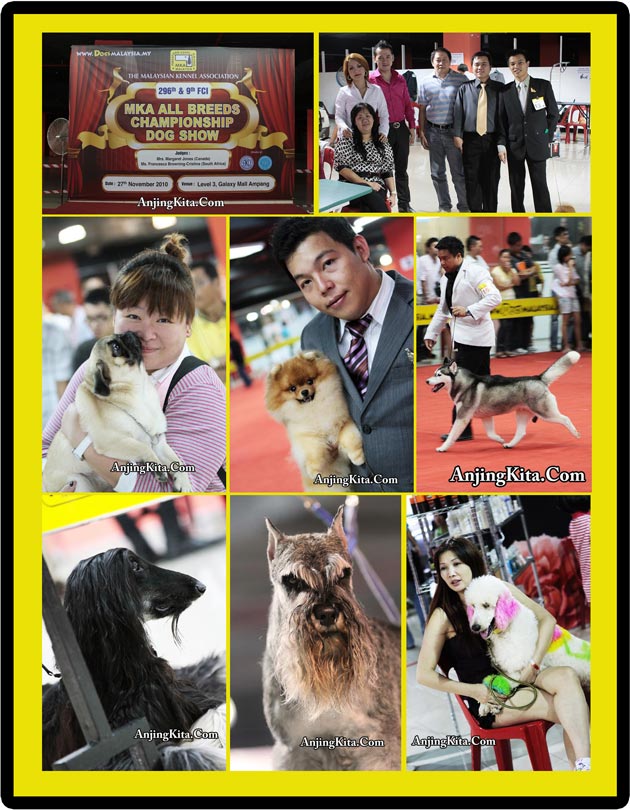 Eloknya Pameran Anjing Di Negri Jiran