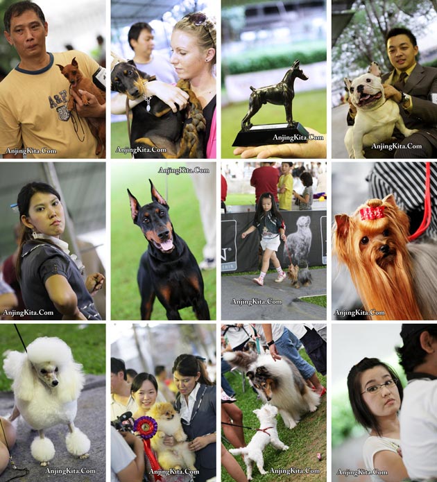 Liputan KDI & Perkin Jaya All Breed + Speciality 