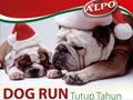 DOG RUN Tutup Tahun 2010