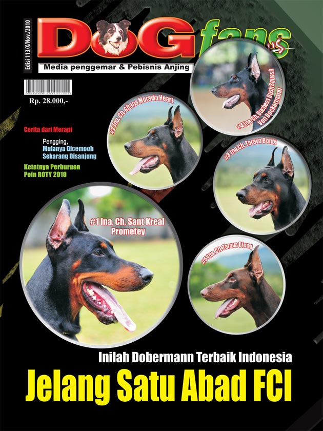 DOGFANS NEWS EDISI 113/November 2010