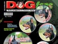DOGFANS NEWS EDISI 113/November 2010