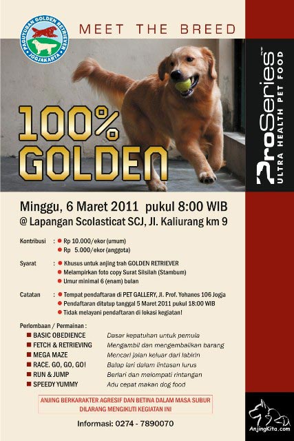 Meet The Breed - 100% Golden