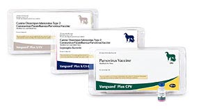 Inovasi Teknologi Vaksin