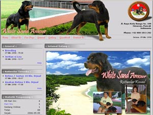 WhiteSandAmour.Com