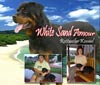 WhiteSandAmour.Com