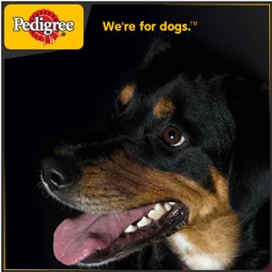 Periksa Mulut Anjing Anda Secara Berkala