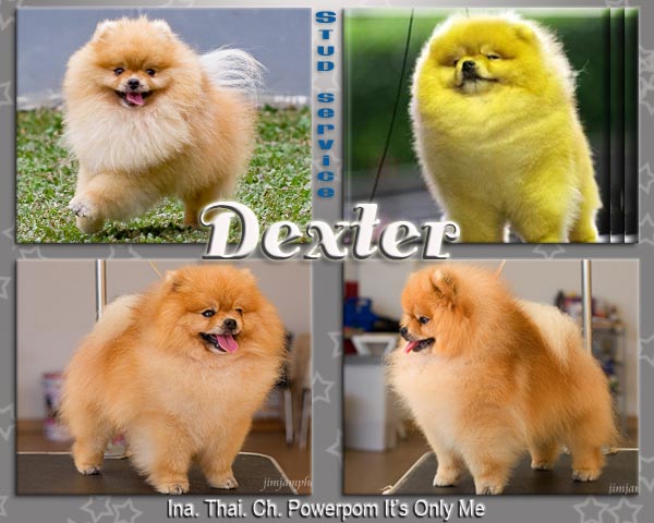 Ina.Th.Ch.Powerpom It's Only Me