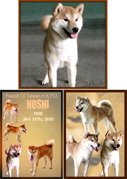 Fasold of Taiwan H.K.FCI