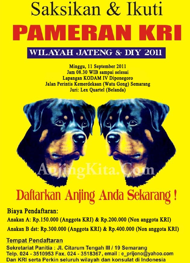 Pameran Rottweiler Jateng & DIY