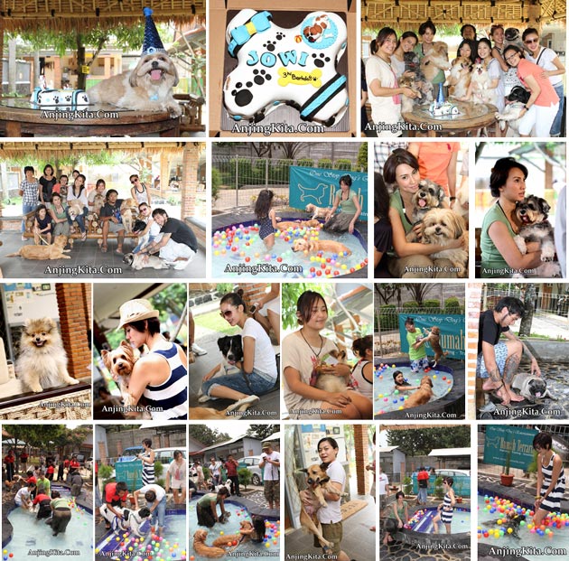 Jowi's 3rd bark Day !!!