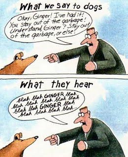 Berbicaralah dengan Anjing Anda