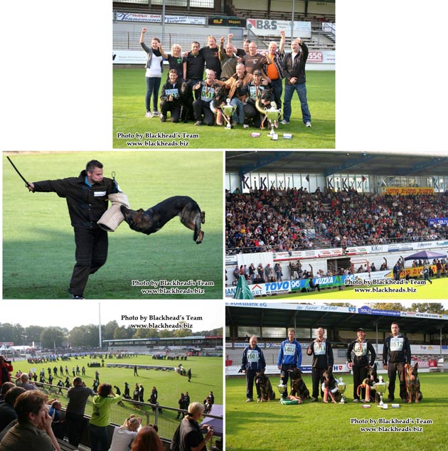 SV - Bundessiegerprüfung (BSP) 2011