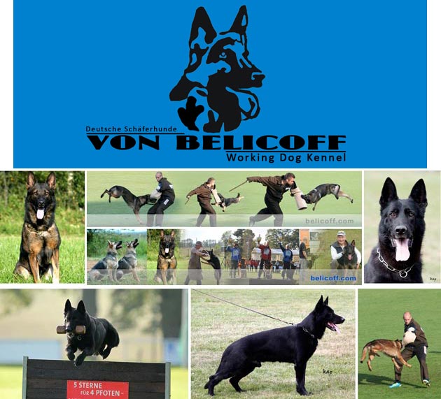 Von Belicoff 