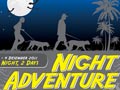 Night Adventure With My Doggie