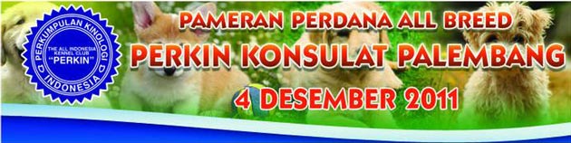 Palembang Perdana All Breed 2011