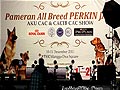 2202 Foto-Foto Liputan Perkin Jaya