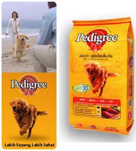 Pentingnya Mensosialisasikan Anjing Anda (1)