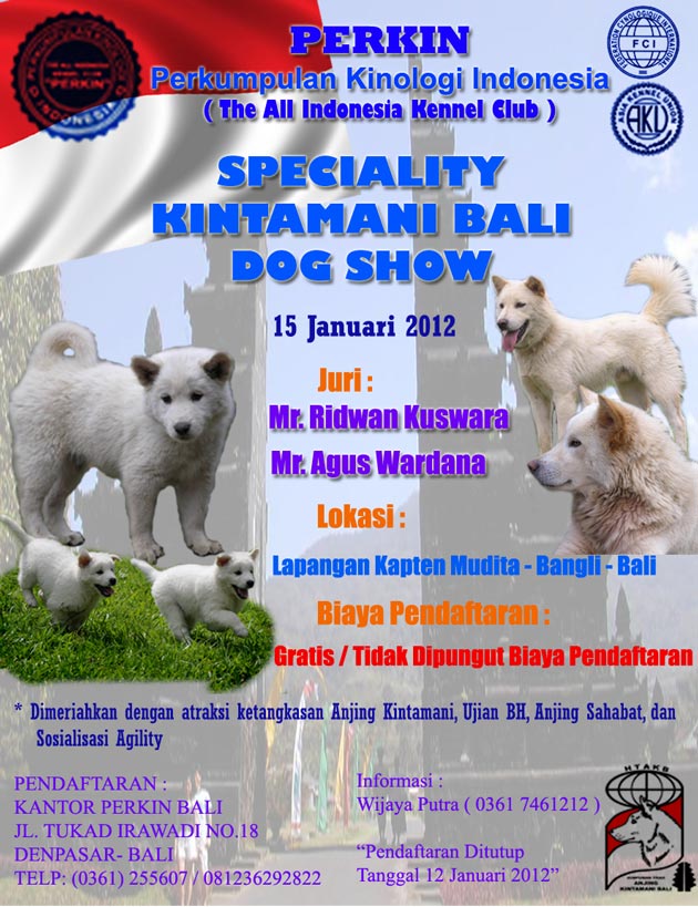 Speciality Kintamani Dog Show