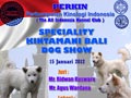 Speciality Kintamani Dog Show