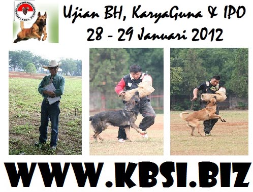 Ujian Karya Guna & IPO KBSI