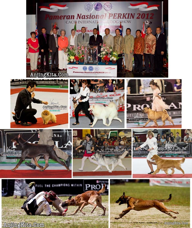 2030 Foto Pamnas Perkin 2012