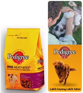 Pentingnya Mensosialisasikan Anjing Anda (2)