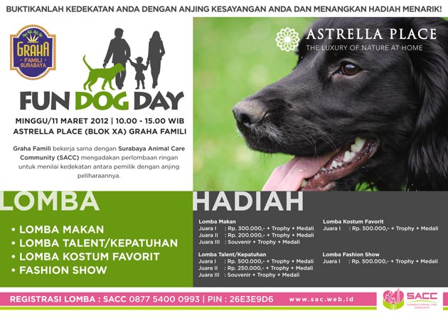Fun Dog Day 