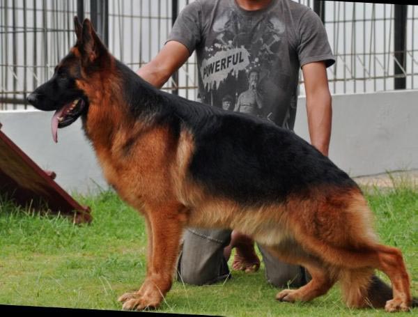 Umax Von Moorbeck