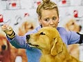 Liputan Semarang Dog Show 2012 