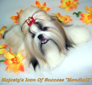 Majesty's Icon Of Success 