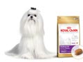 Dog Food Khusus Anjing Trah Maltese