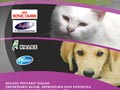 A to Z Diabetes Mellitus & Chronic Renal Failure in Small Animal Medicine