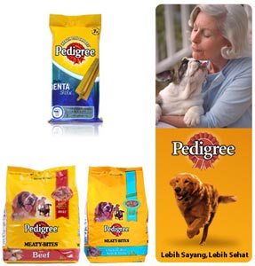 Mengapa Anjing sangat cocok menjadi teman manusia ? (1)