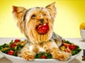 Makanan Manusia Yang Aman Bagi Anjing