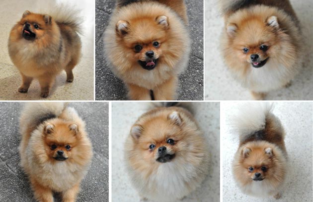 Thunder Von Kacapiring